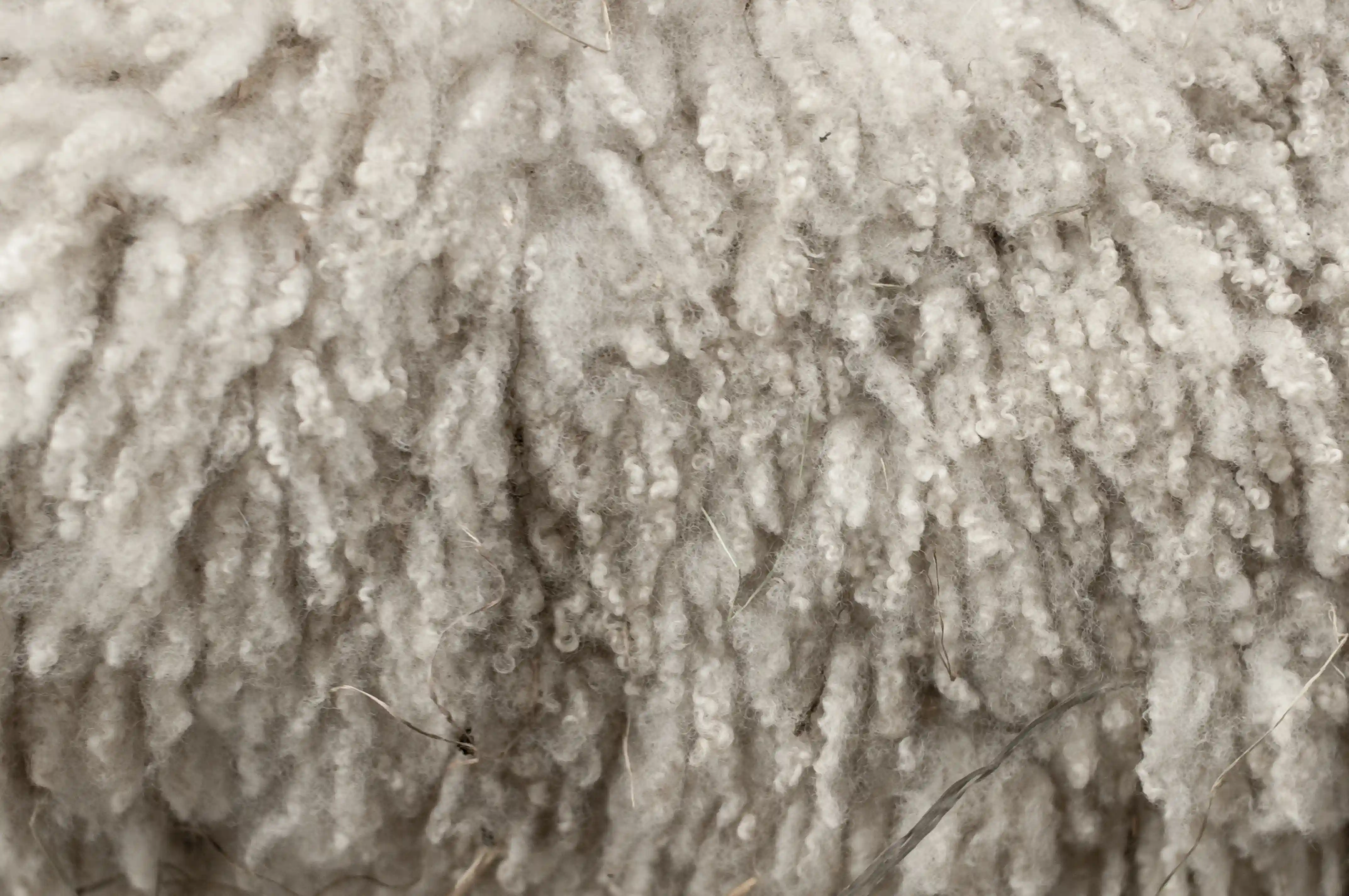 Wool
Soft. Breathable. Nature's flame barrier.
