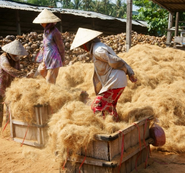 Coir
Durable coconut fibre. Allergen‑friendly, naturally strong.